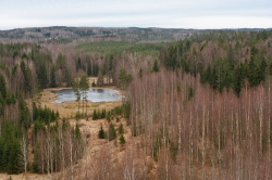 Vaade vitipalu tornist. Foto: Urmas Tartes